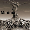 Minimal Volume 28